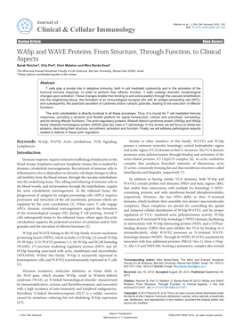 Wasp and WAVE Proteins: from Structure, Through Function, To