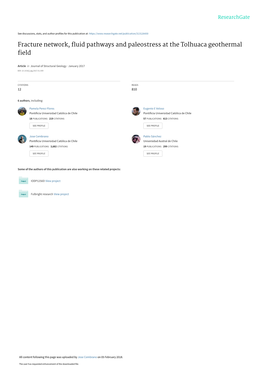 Fracture Network, Fluid Pathways and Paleostress at the Tolhuaca