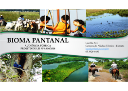 BIOMA PANTANAL Lucélia Avi AUDIÊNCIA PÚBLICA Gestora Do Núcleo Técnico - Famato PROJETO DE LEI Nº 9.950/2018 Lucelia@Famato.Org.Br 65 3928-4480 Índice