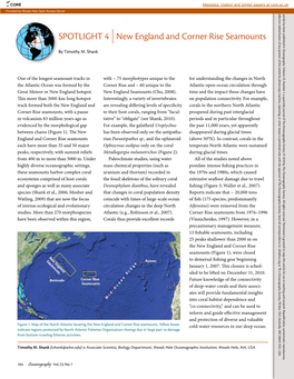 SPOTLIGHT 4 New England and Corner Rise Seamounts