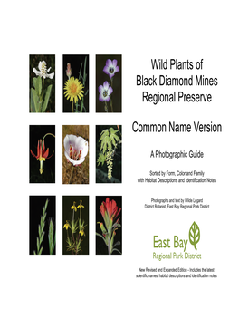 Wild Plants of Black Diamond Mines Regional Preserve Common Name