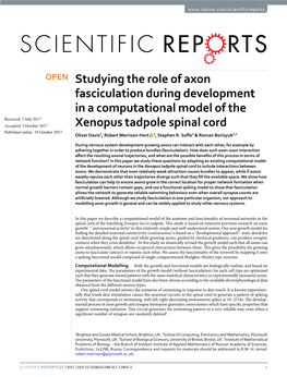 Studying the Role of Axon Fasciculation During