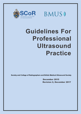 Guidelines for Professional Ultrasound Practice