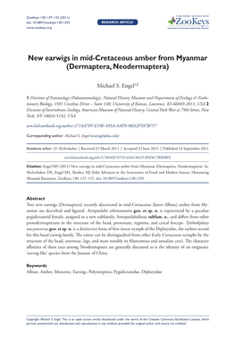 New Earwigs in Mid-Cretaceous Amber from Myanmar (Dermaptera, Neodermaptera)