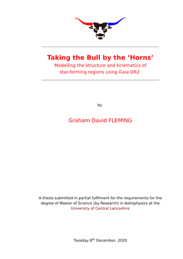 Taking the Bull by the 'Horns'