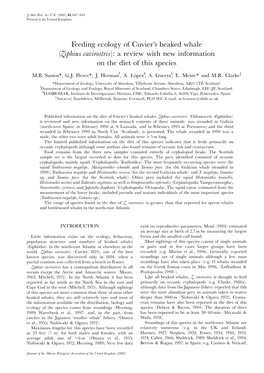 Feeding Ecology of Cuvier's Beaked Whale (Ziphius Cavirostris)