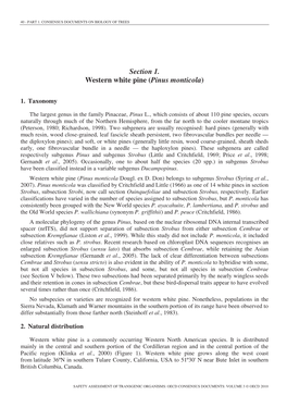 Section 1. Western White Pine (Pinus Monticola)