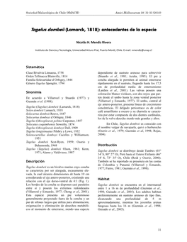 Tagelus Dombeii (Lamarck, 1818): Antecedentes De La Especie