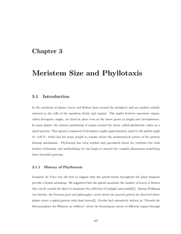 Meristem Size and Phyllotaxis