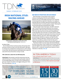 Irish National Stud: Racing Ahead Cont