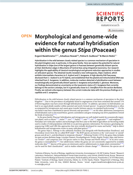 Morphological and Genome-Wide Evidence for Natural Hybridisation Within the Genus Stipa (Poaceae)