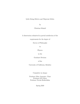 Little String Defects and Nilpotent Orbits by Christian Schmid A