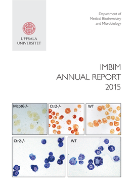 Imbim Annual Report 2015