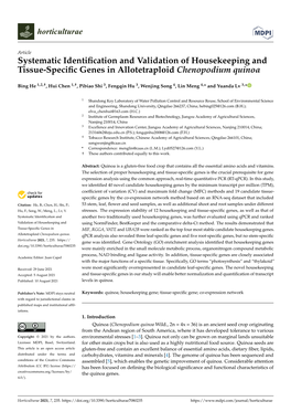 Systematic Identification and Validation of Housekeeping And