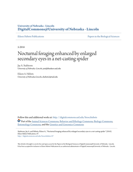 Nocturnal Foraging Enhanced by Enlarged Secondary Eyes in a Net-Casting Spider Jay A