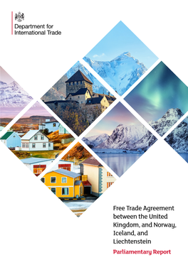 Norway, Iceland & Liechtenstein Parliamentary Report