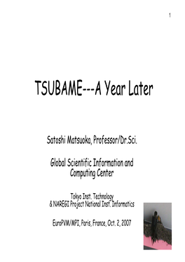 TSUBAME---A Year Later