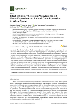 Effect of Salinity Stress on Phenylpropanoid Genes