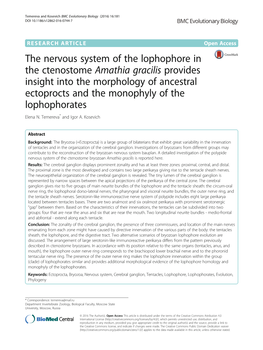 The Nervous System of the Lophophore in the Ctenostome Amathia Gracilis