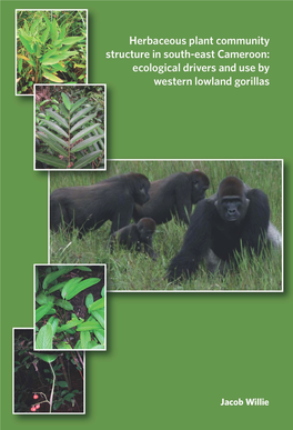 Ecological Drivers and Use by Western Lowland Gorillas