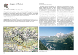 Altopiano Del Montasio a Cura Di Corrado Venturini E Katiuscia Discenza