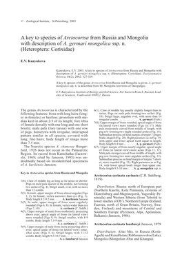 A Key to Species of Arctocorisa from Russia and Mongolia with Description of A