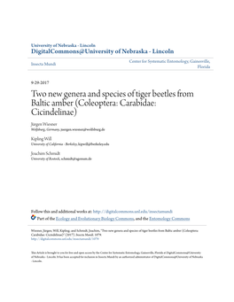 Two New Genera and Species of Tiger Beetles from Baltic Amber (Coleoptera: Carabidae: Cicindelinae) Jürgen Wiesner Wolfsburg, Germany, Juergen.Wiesner@Wolfsburg.De