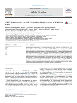 HSP90 Is Necessary for the ACK1-Dependent Phosphorylation of STAT1 and MARK STAT3