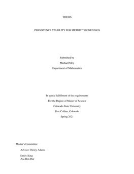 Thesis Persistence Stability for Metric Thickenings