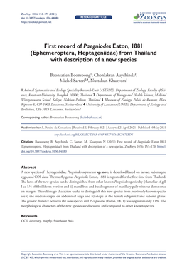 First Record of Paegniodes Eaton, 1881 (Ephemeroptera, Heptageniidae) from Thailand with Description of a New Species