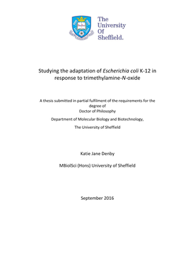 Escherichia Coli K-12 in Response to Trimethylamine-N-Oxide