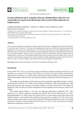 Eremitis Afimbriata and E. Magnifica (Poaceae, Bambusoideae, Olyreae): Two Remarkable New Species from Brazil and a First Record of Blue Iridescence in Bamboo Leaves