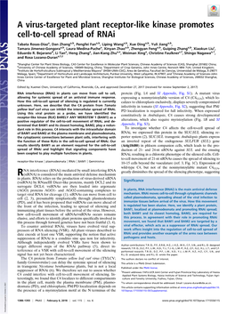 A Virus-Targeted Plant Receptor-Like Kinase Promotes Cell-To-Cell Spread of Rnai