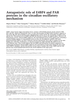 Antagonistic Role of E4BP4 and PAR Proteins in the Circadian Oscillatory Mechanism