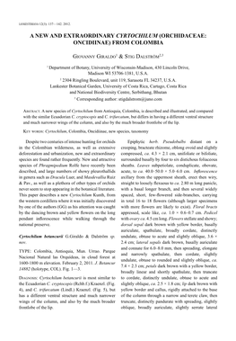 A New and Extraordinary Cyrtochilum (Orchidaceae: Oncidiinae) from Colombia