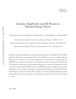 Annulus Amplitudes and ZZ Branes in Minimal String Theory