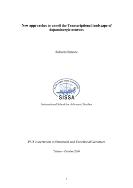 Roberto Simone Phd Thesis 2008