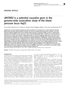 ANTXR2 Is a Potential Causative Gene in the Genome-Wide Association Study of the Blood Pressure Locus 4Q21