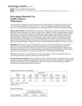Picea Glauca (Moench) Voss Family: Pinaceae White Spruce