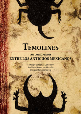 Temolines Los Coleópteros Entre Los Antiguos Mexicanos