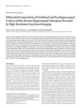 Differential Connectivity of Perirhinal and Parahippocampal Cortices Within Human Hippocampal Subregions Revealed by High-Resolution Functional Imaging