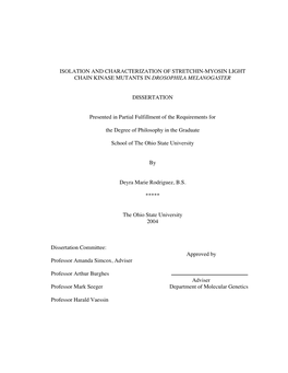 Isolation and Characterization of Stretchin-Myosin Light Chain Kinase Mutants in Drosophila Melanogaster