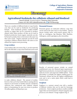 Agricultural Feedstocks for Cellulosic Ethanol and Biodiesel Jason P