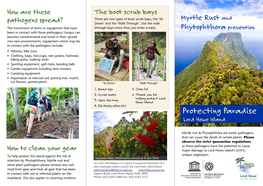 Phytopthora Myrtle Rust Brochure