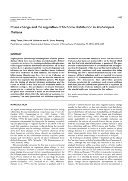 Phase Change and the Regulation of Trichome Distribution in Arabidopsis Thaliana