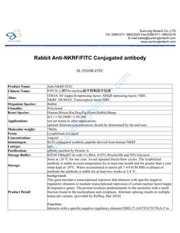 Rabbit Anti-NKRF/FITC Conjugated Antibody-SL19269R-FITC