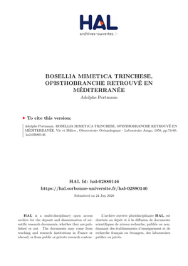 BOSELLIA MIMET1CA TRINCHESE, OPISTHOBRANCHE RETROUVÉ EN MÉDITERRANÉE Adolphe Portmann