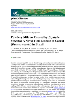 Powdery Mildew Caused by Erysiphe Heraclei: a Novel Field Disease of Carrot (Daucus Carota) in Brazil