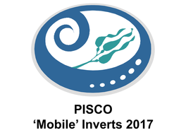 PISCO 'Mobile' Inverts 2017