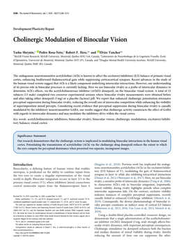 Cholinergic Modulation of Binocular Vision